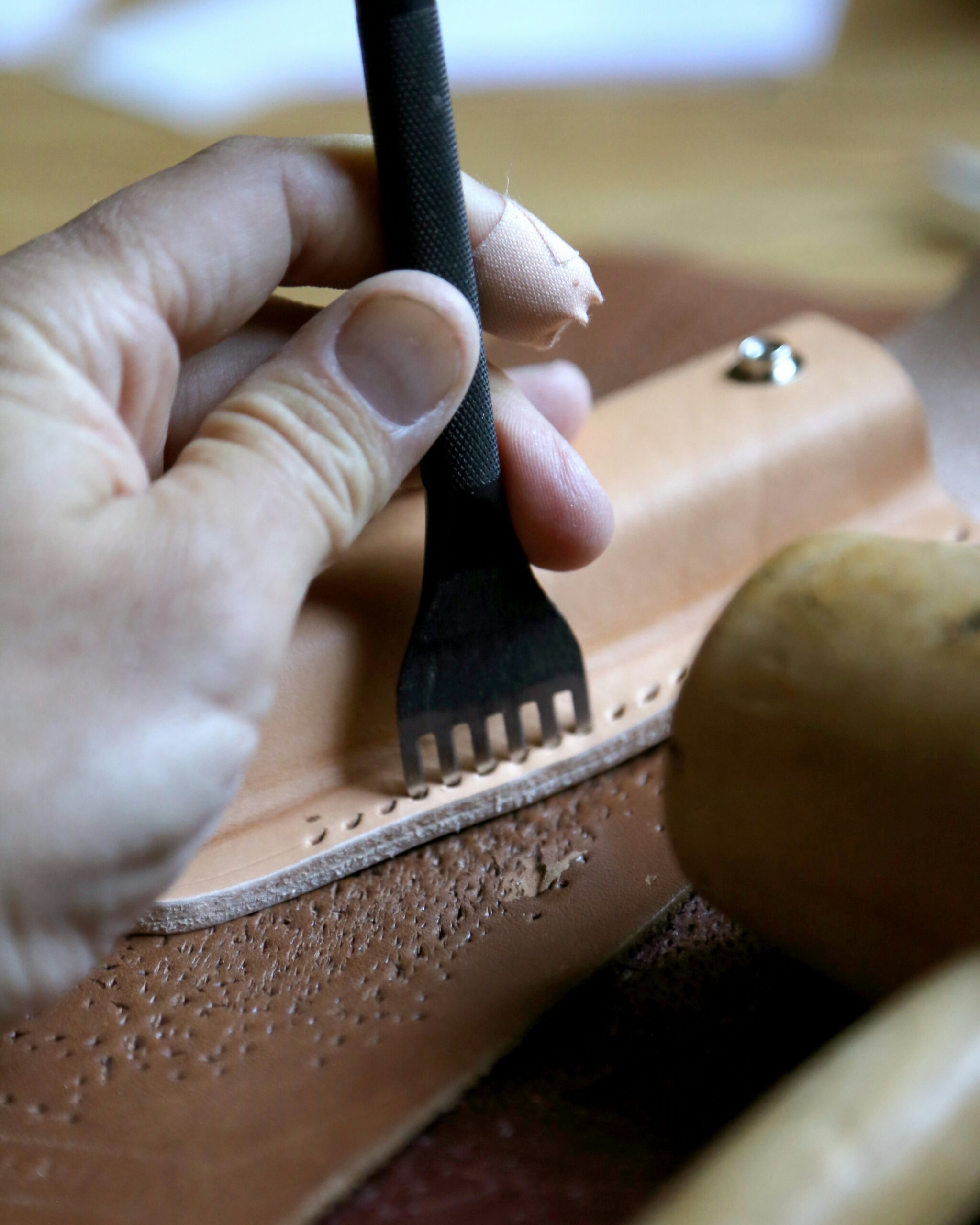 la compagnie robinson kgqlg k4vwa unsplash